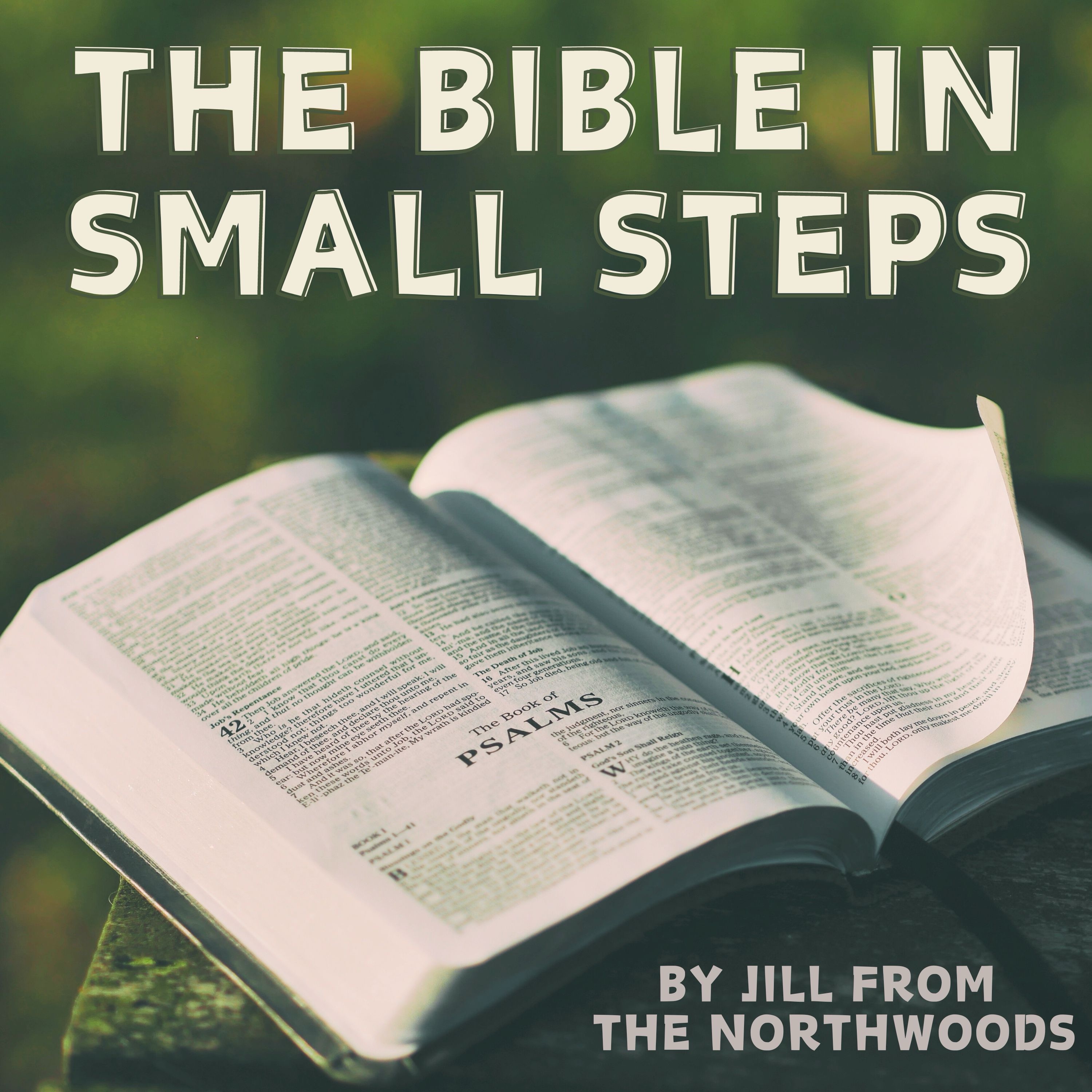 The Bible in Small Steps podcast artwork
