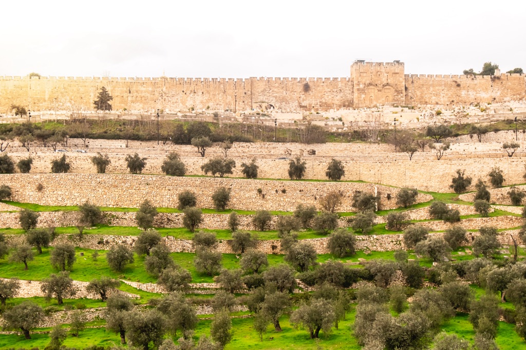 mount-of-olives-in-jerusalem-ancient-sacred-cemet-2023-11-27-05-20-47-utc sm